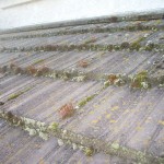 Tile Roof BEFORE Pressure Washing ~ Vacaville, CA 